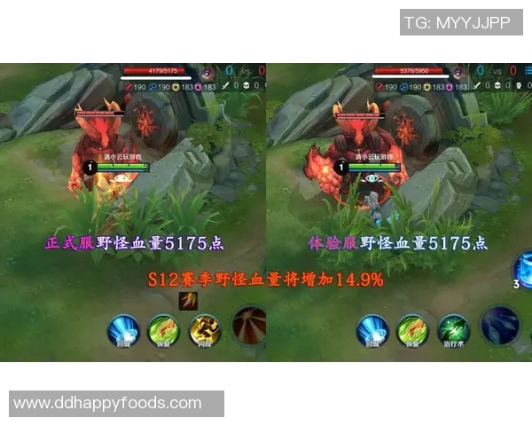 王者荣耀战术解析：深入探讨IG战队的进攻策略与团队配合