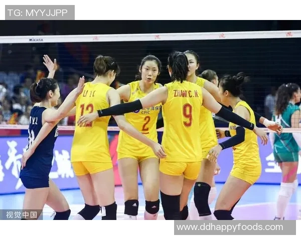 聚焦北京排球队近期状态分析与未来发展展望